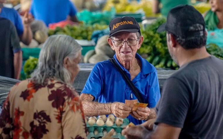 Empreendedores brasileiros com CNPJ representam 35% do total
