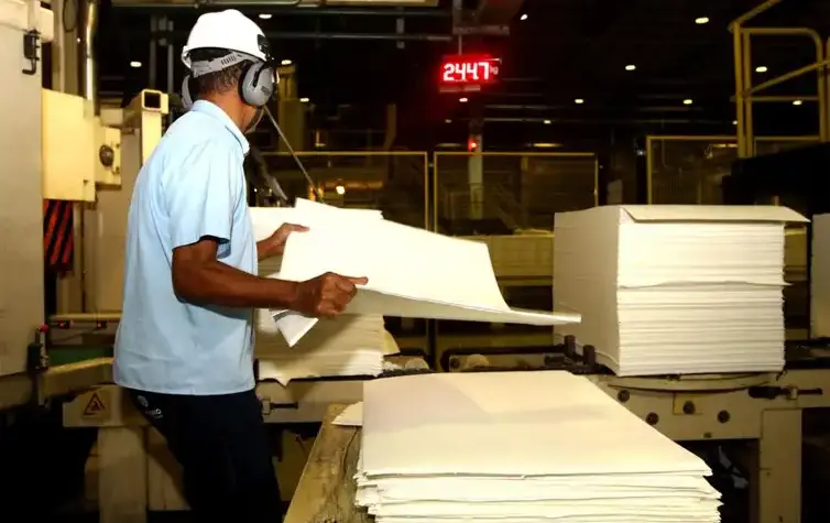 Indústria florestal brasileira atinge valor inédito de R$ 47,9 bilhões