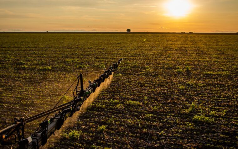 Expansão do seguro rural traz mais segurança para agricultores brasileiros