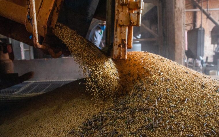 Brasil prevê crescimento na produção de grãos apesar do El Niño